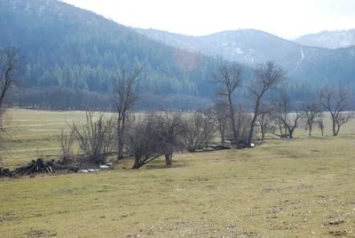 Yreka - 12 - 23 - 2007a (10) (Large).JPG